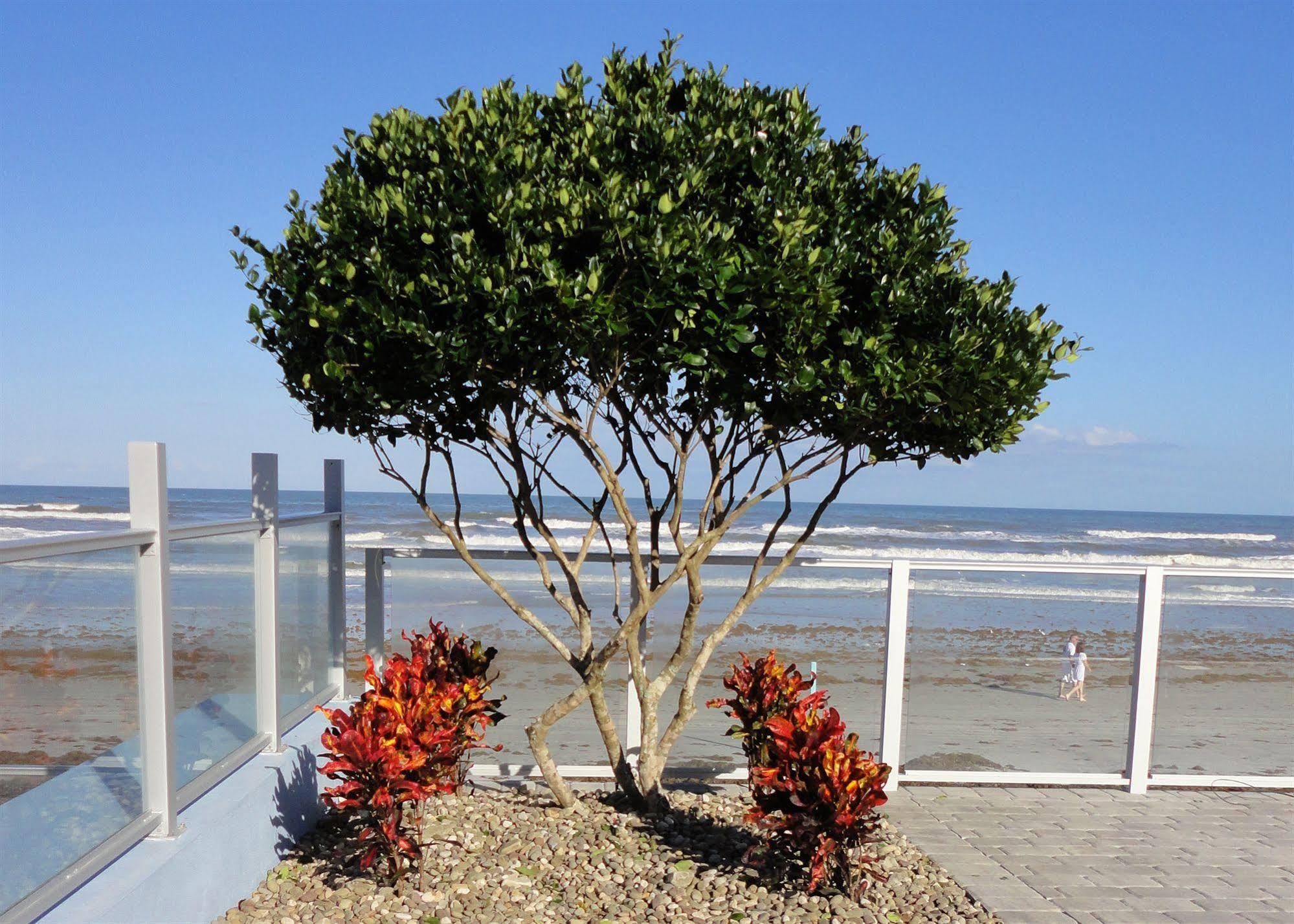 Lotus Boutique Inn And Suites Ormond Beach Bagian luar foto